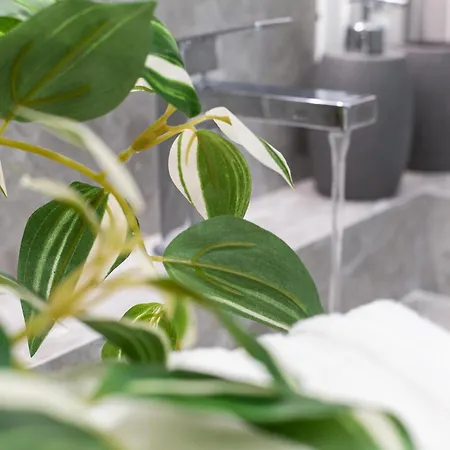 Iflat Colosseum New Exclusive Haven Roma