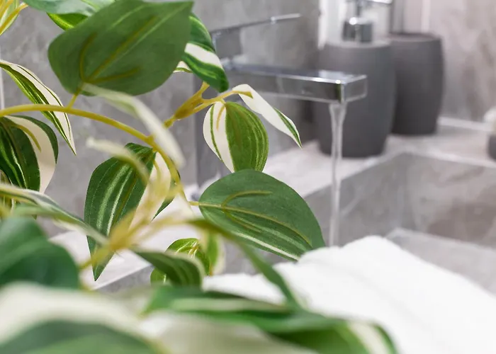 Iflat Colosseum New Exclusive Haven Rome